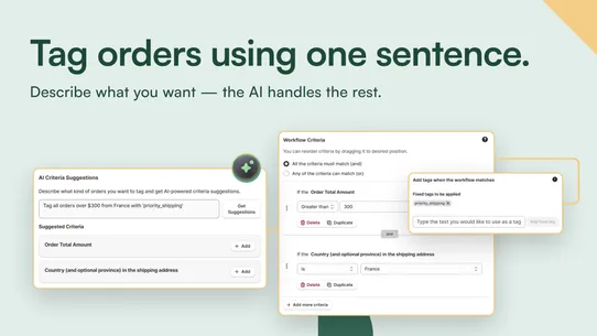 AI Order Tags &amp; Flows screenshot