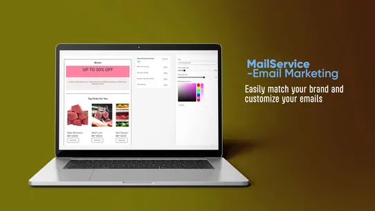 MailService ‑ Email Marketing screenshot