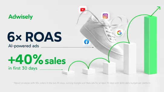 Adwisely—Google Ads &amp; Meta Ads screenshot