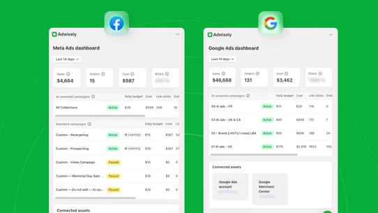 Adwisely—Google Ads &amp; Meta Ads screenshot