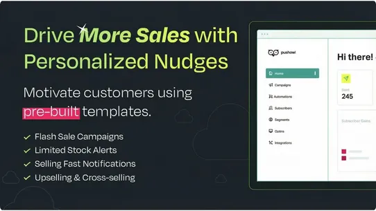 Brevo(PushOwl):Email,Push,SMS screenshot