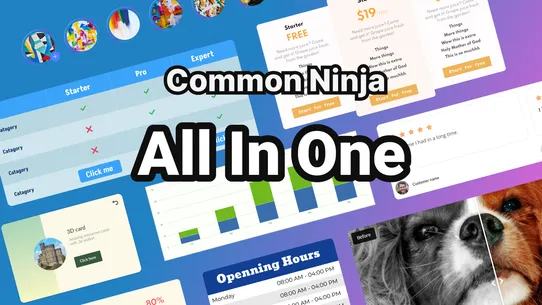 Common Ninja ‑ All In one screenshot