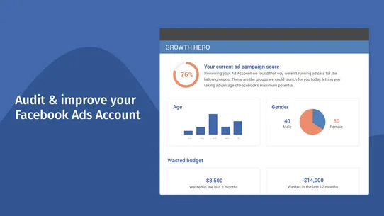 Facebook Ads Audit Hero screenshot