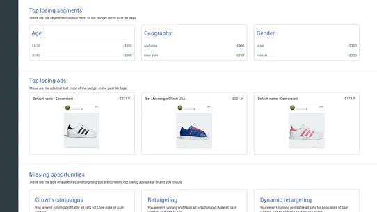 Facebook Ads Audit Hero screenshot