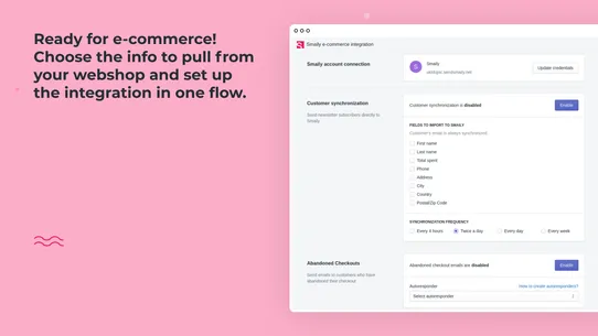 Smaily E‑Commerce Integration screenshot