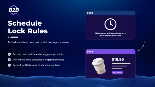 BSS B2B Lock, Login &amp; Password screenshot