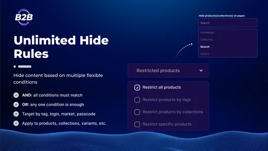 BSS B2B Lock, Login &amp; Password screenshot