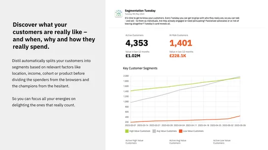 Distil: AI Business Analytics screenshot