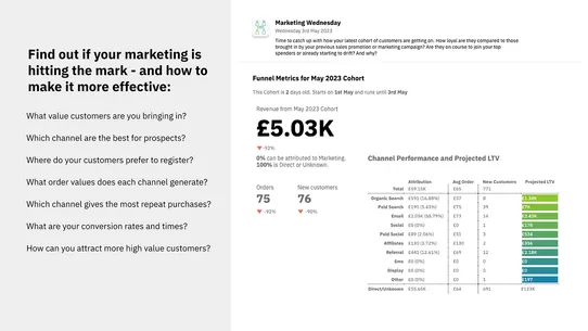 Distil: AI Business Analytics screenshot