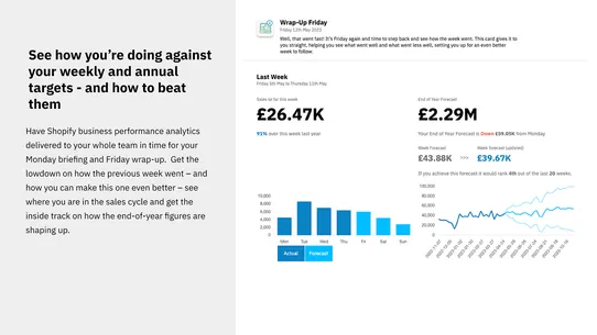 Distil: AI Business Analytics screenshot