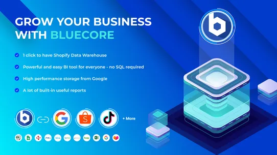 Bluecore Data Central Platform screenshot