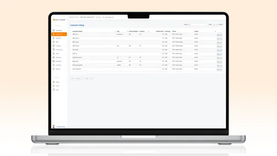 Versa Cloud ERP for eCommerce screenshot