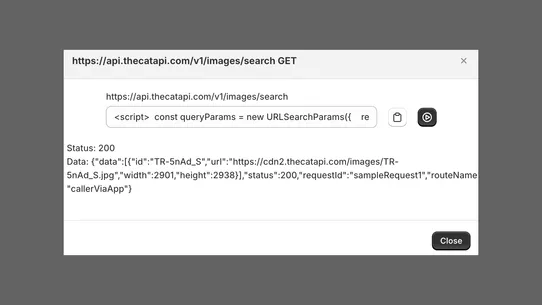 APIEase: API &amp; App Dev Agent screenshot