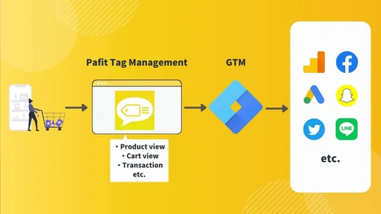 Pafit Tag Management for GTM screenshot