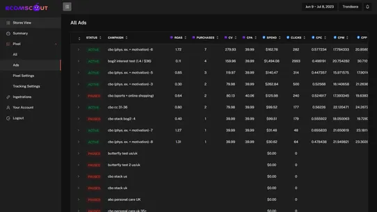 EcomScout screenshot