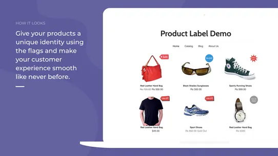 Webkul Product Label screenshot