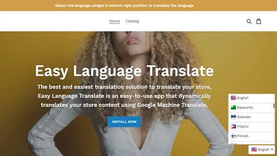 Easy Language Translate screenshot