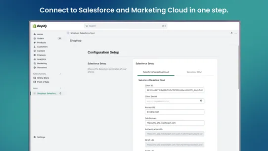 Shophop: Salesforce Sync screenshot