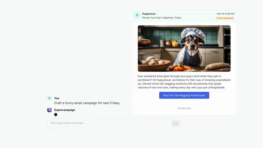 Supercampaign AI Email screenshot