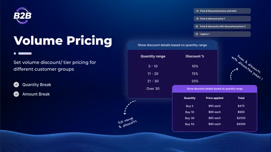 BSS B2B Wholesale Solution screenshot