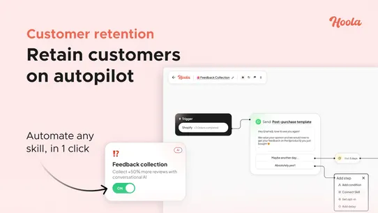 Hoola: AI Support &amp; Marketing screenshot