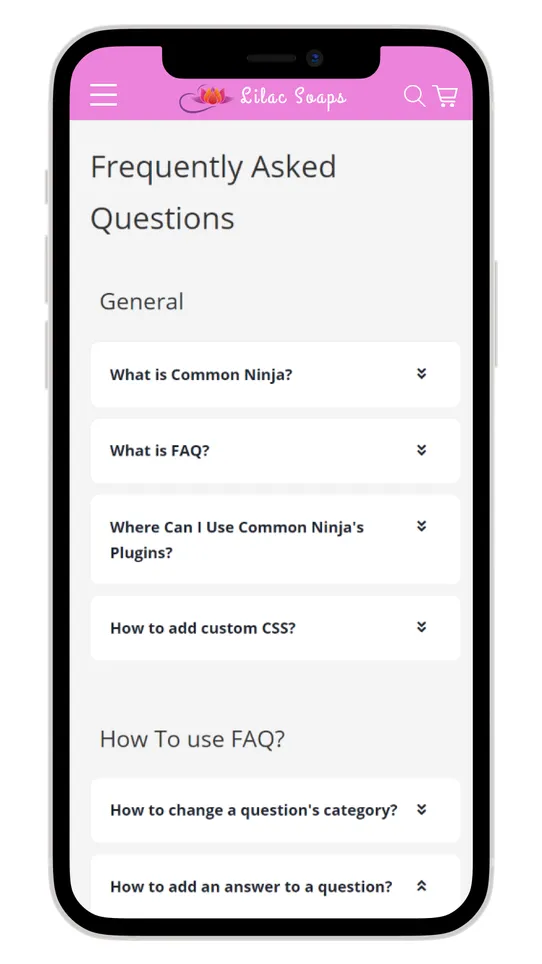 Common Ninja FAQ screenshot