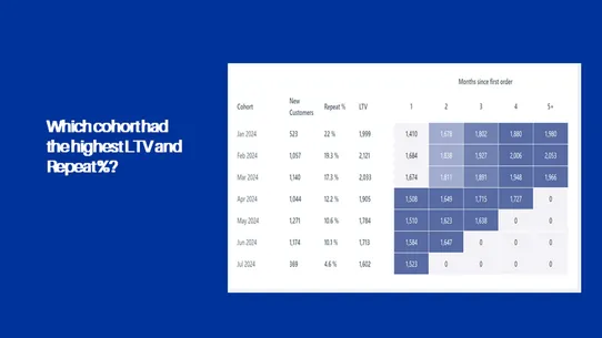 LTV Analytics ‑ ScaleX AI screenshot