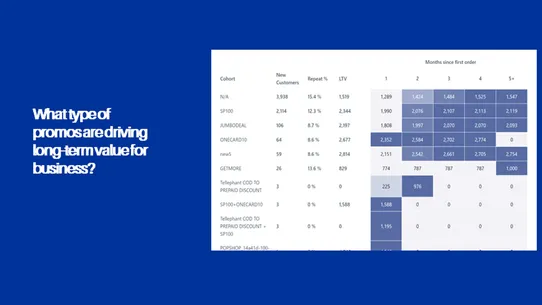 LTV Analytics ‑ ScaleX AI screenshot