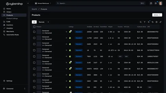 Cybership screenshot