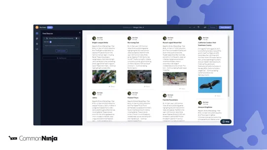 Common Ninja RSS Feeds screenshot