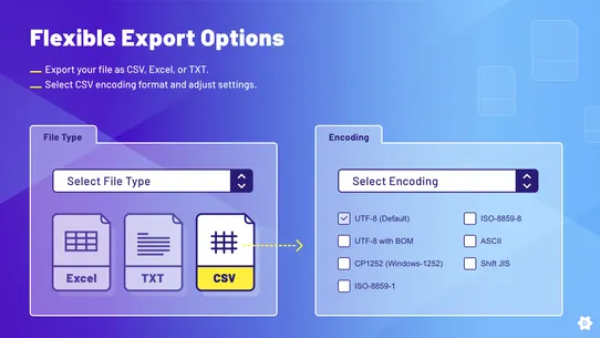 DataChamp Order Export XLS/CSV screenshot