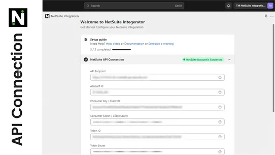 NetSuite Integration ‑ TM screenshot