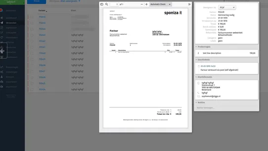 Dutch accountingsystems screenshot