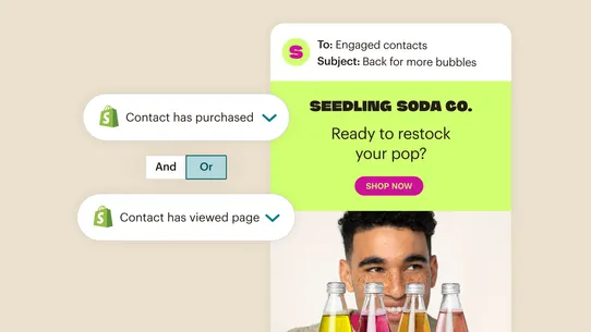 Mailchimp Email SMS Marketing screenshot