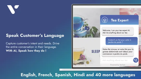 Verifast AI Sales Chatbot screenshot