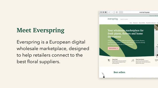 Everspring ‑ Dropshipping EU screenshot