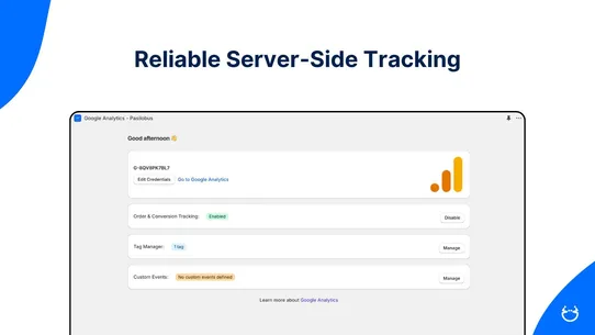 Google Analytics ‑ Pasilobus. screenshot