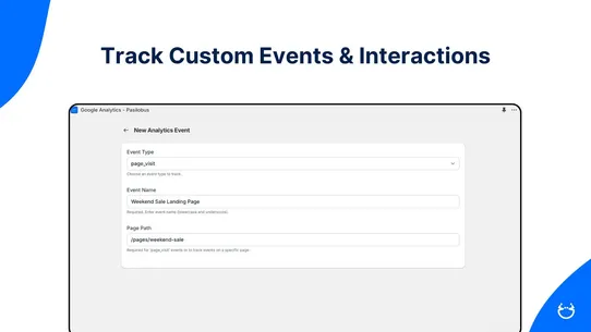 Google Analytics ‑ Pasilobus. screenshot