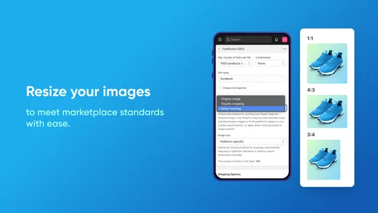 FeedFusion: Product Feed Sync screenshot