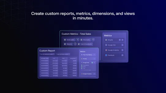 Polar Analytics ‑ LTV &amp; Profit screenshot