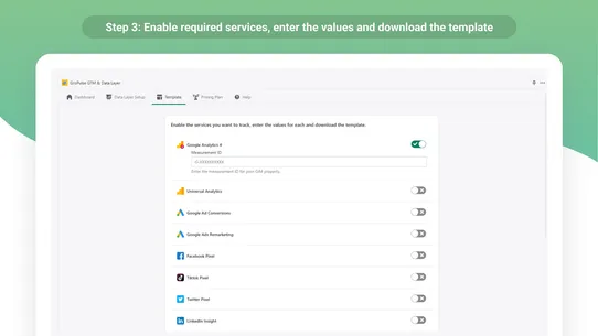 GroPulse GTM &amp; Data Layer screenshot