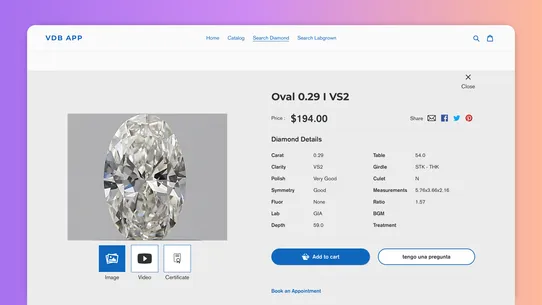 VDB Diamond &amp; Gemstone Search screenshot