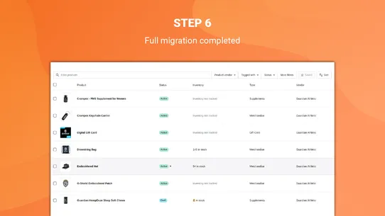 LitExtension Store Migration screenshot