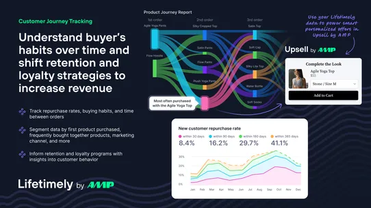Lifetimely LTV &amp; Profit by AMP screenshot