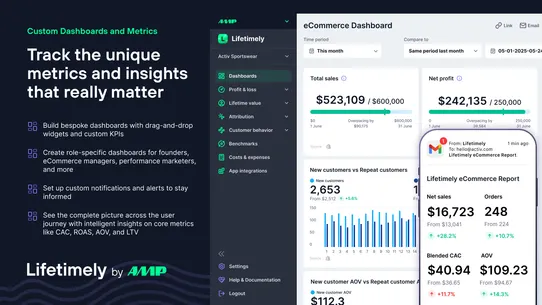Lifetimely LTV &amp; Profit by AMP screenshot
