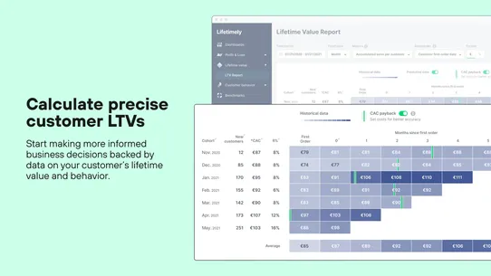 Lifetimely LTV &amp; Profit by AMP screenshot