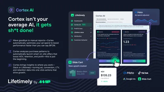 Lifetimely LTV &amp; Profit by AMP screenshot