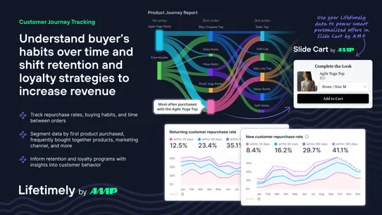 Lifetimely LTV &amp; Profit by AMP screenshot