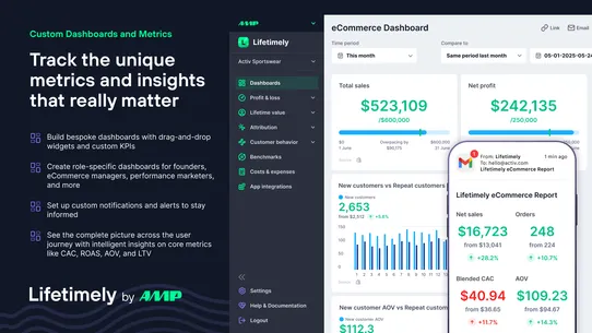 Lifetimely LTV &amp; Profit by AMP screenshot