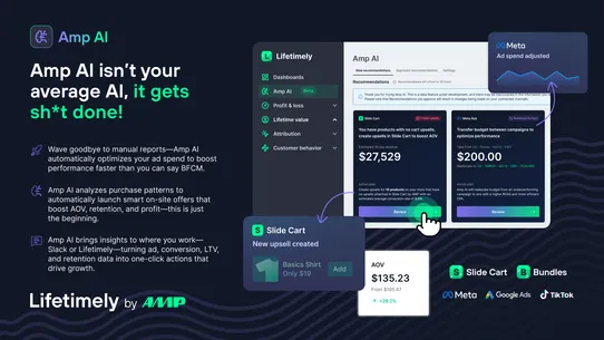 Lifetimely Profit Analytics screenshot